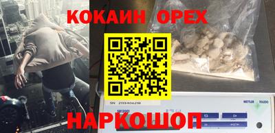 гашик Кинель