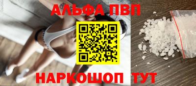 бошки Кингисепп