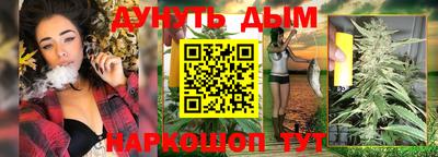 гашик Кинель