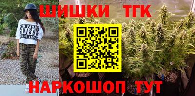 бошки Кингисепп