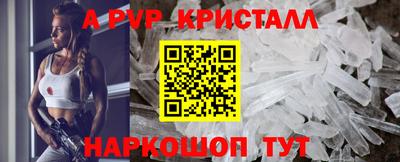 бошки Кингисепп