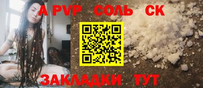 бошки Кингисепп